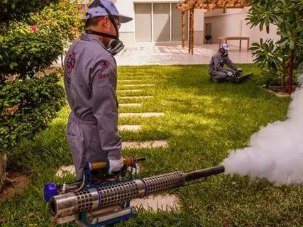 شركة مكافحة حشرات شرق الرياض – 0508001277